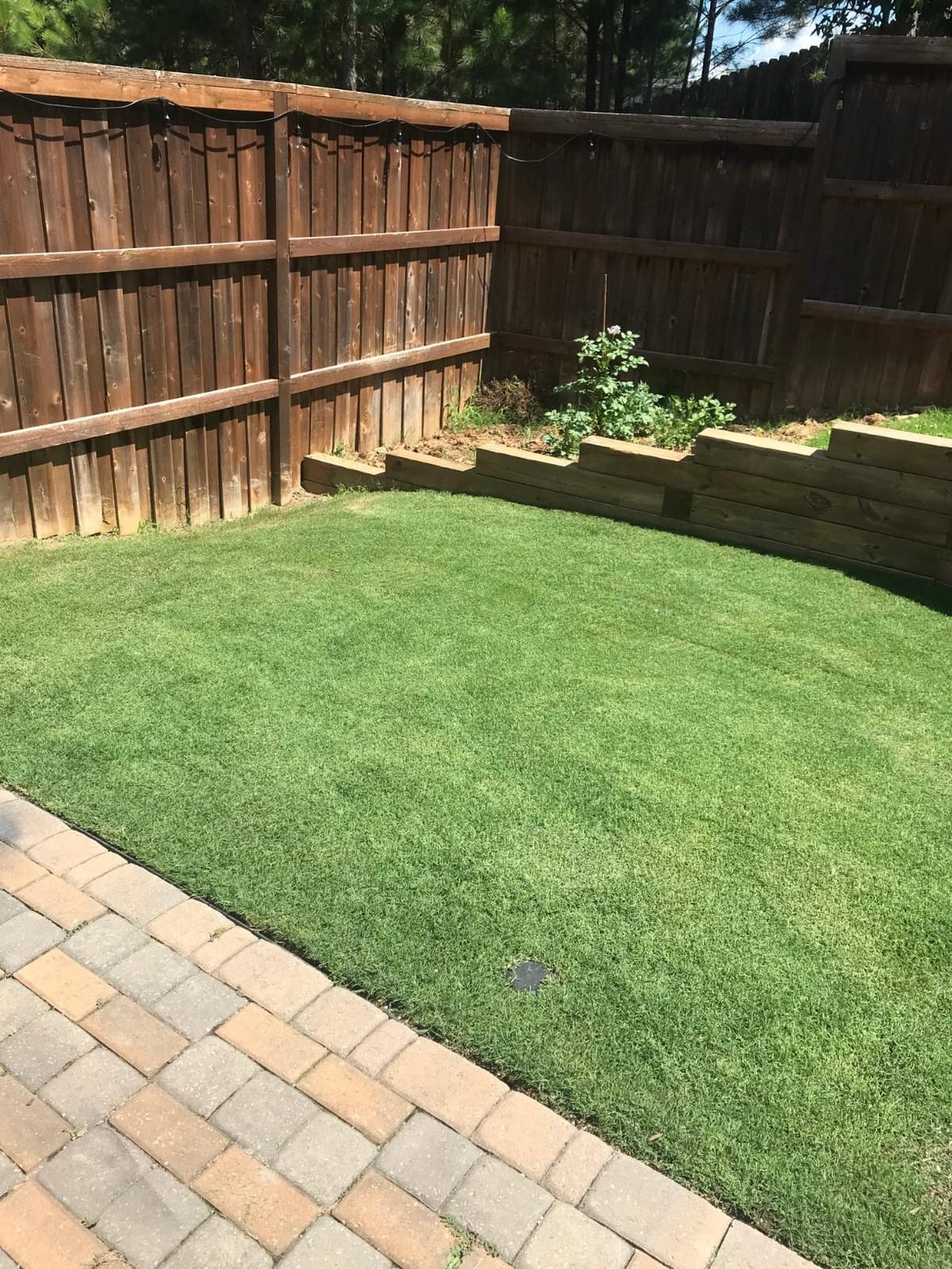 Liquid Lawn Aerator, Loosens and Conditions Compacted Soil, 32oz customer photo 1