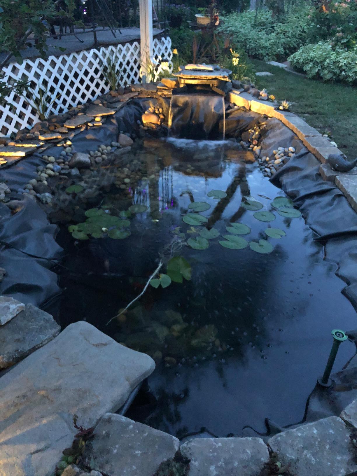 HALF OFF PONDS Complete Pro 5200 GPH Pond Kit 15 x 20 Ft EPDM Liner customer photo 2