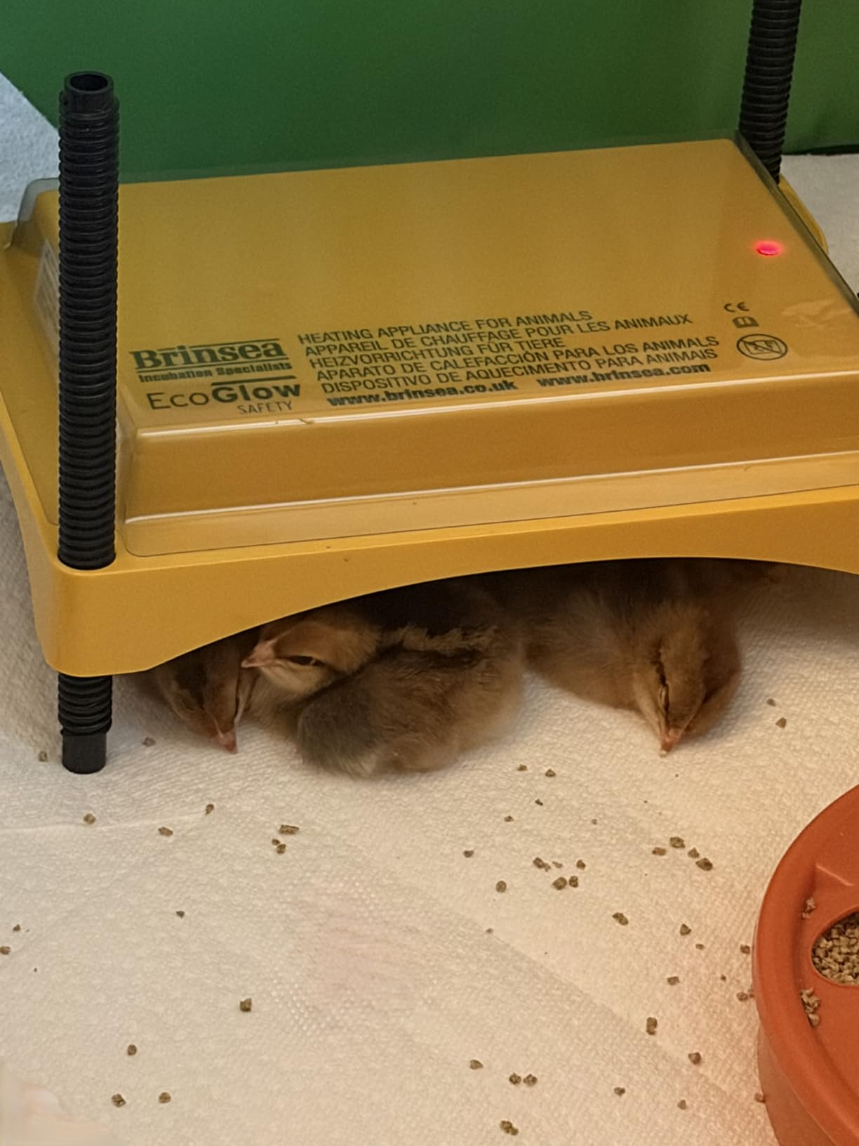 Brinsea Ecoglow Safety 600 Chick or Duckling Brooder, Up to 20 Chicks customer photo 2