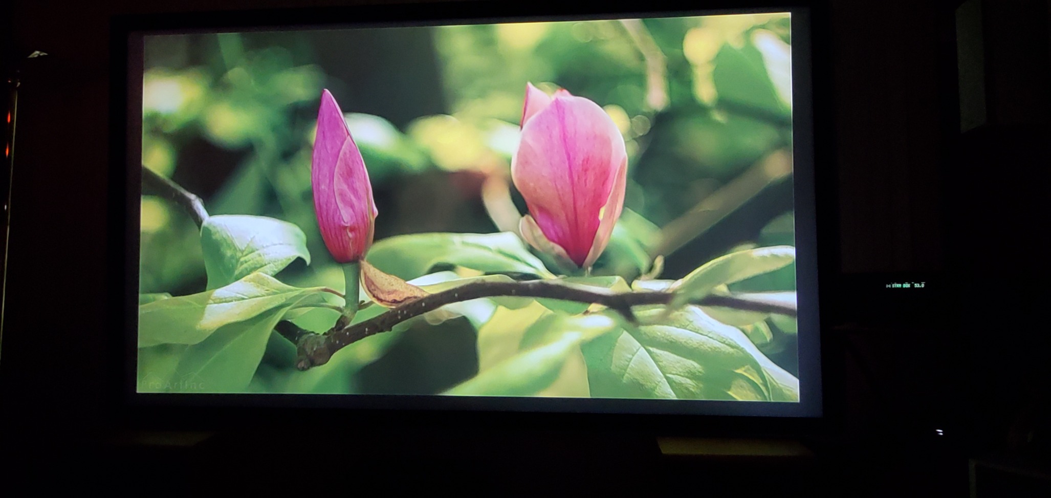 VEVOR Projector Screen 130inch Outdoor Projector Screen 16:9 Movie Screen Fixed Frame 3D Projector Screen for 4K HDTV Movie Theater customer photo 1