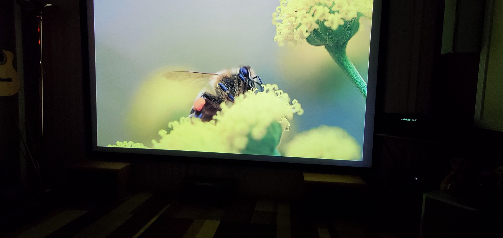 VEVOR Projector Screen 130inch Outdoor Projector Screen 16:9 Movie Screen Fixed Frame 3D Projector Screen for 4K HDTV Movie Theater customer photo 2