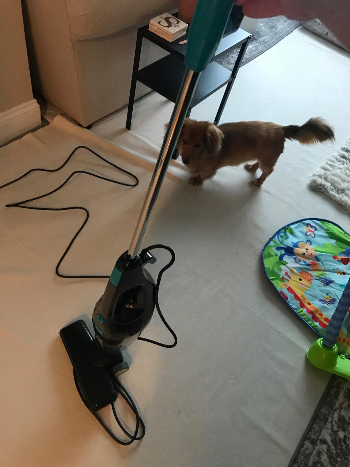 Eureka NES215A Blaze 3-in-1 Swivel Handheld & Stick Vacuum Cleaner, Blue customer photo 1