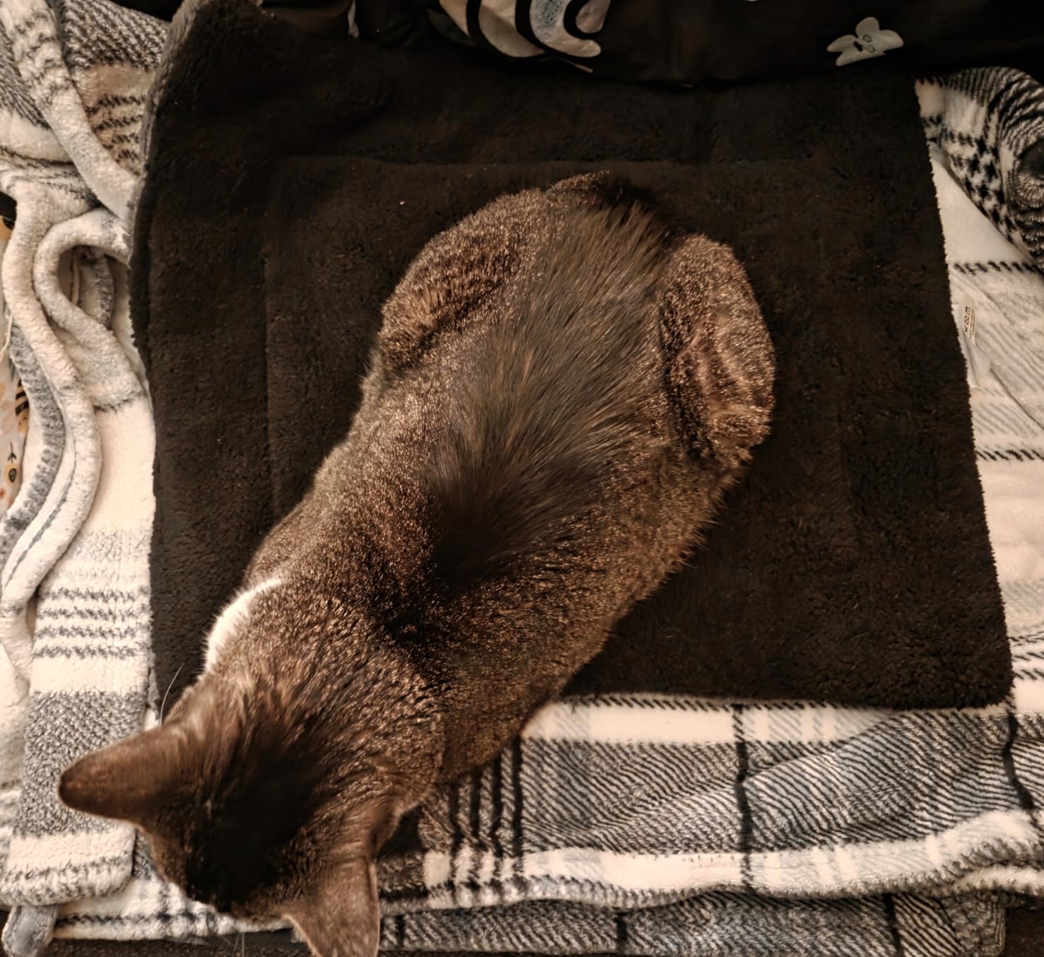 K&H Self-Warming Cat Bed Pad, Self Heating Pad, Small 21 X 17 Gray/ Black | Heating pad for cats comfort, cat self warming pad, reversible plush, warming mat for cats, machine washable customer photo 2
