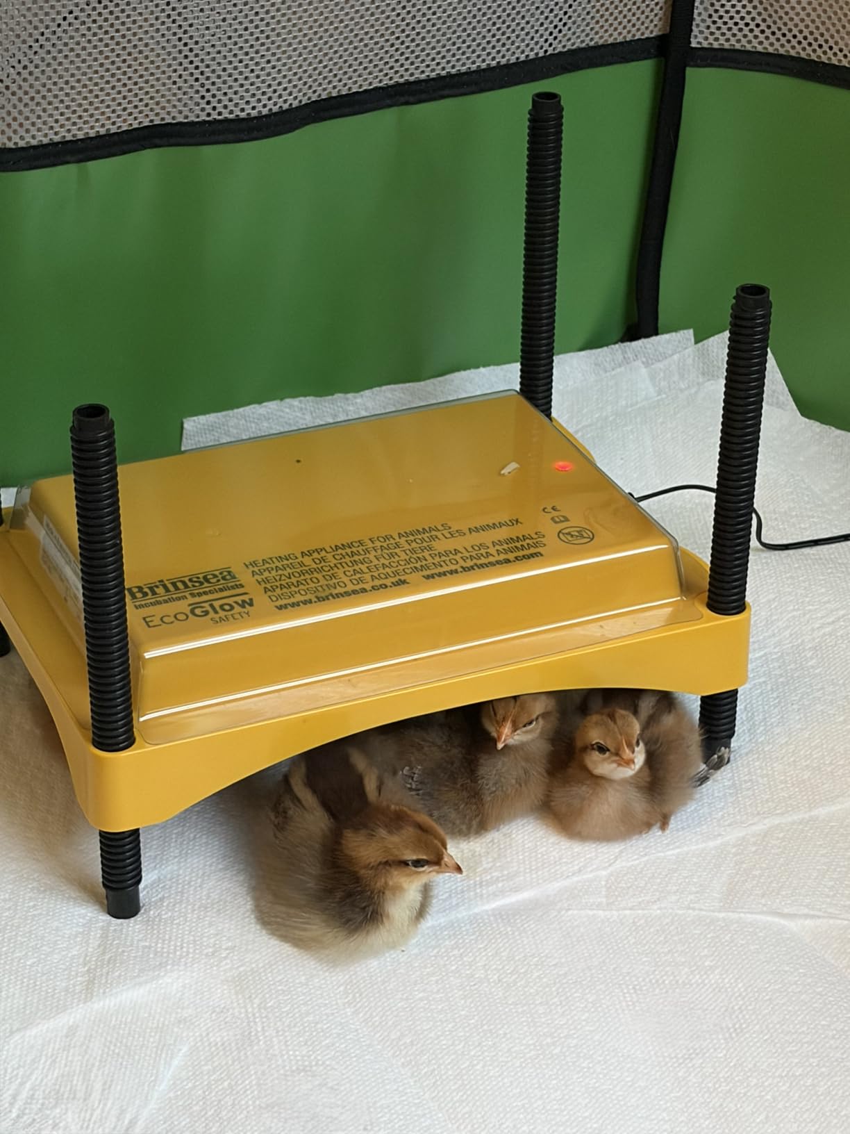 Brinsea Ecoglow Safety 1200 Chick or Duckling Brooder, Up to 35 Chicks customer photo 1