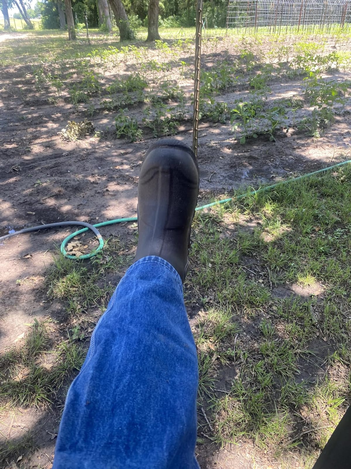 MUCK Men's Edgewater Classic Mid Boot customer photo 2