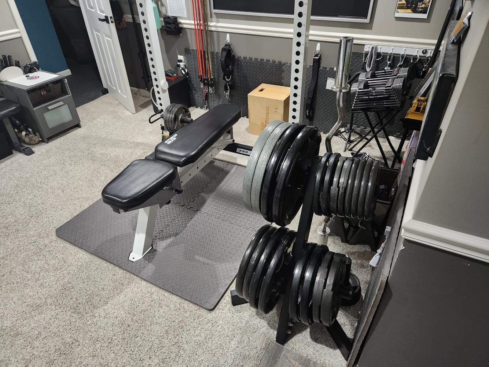 Cap Olympic Plate Tree Storage Rack for Weights & Barbells, Heavy-Duty Steel Weight Plate Organizer for 2-Inch Olympic Plates, Space-Saving Storage Rack, 300lb Capacity, Multiple Colors customer photo 1