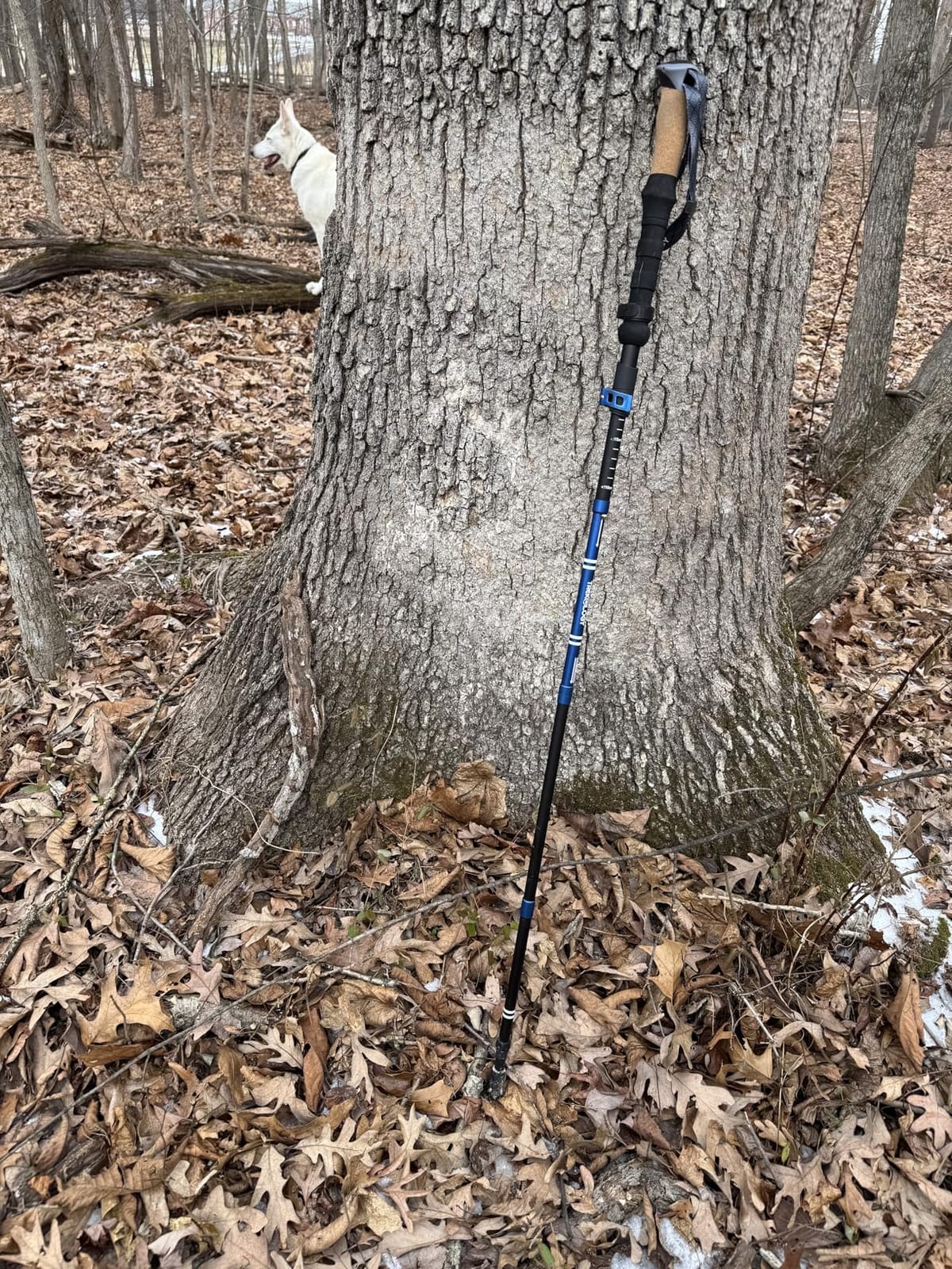 Trekology Trek-Z Cork Grip Collapsible Lightweight Hiking Trekking Poles customer photo 1