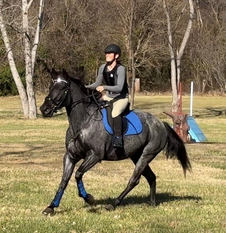 Menolana Horse Riding Safety Eventing Equestrian Protective for Adults Boys and Girls, Equine Equestrian Equipment Supplies, Black customer photo 1