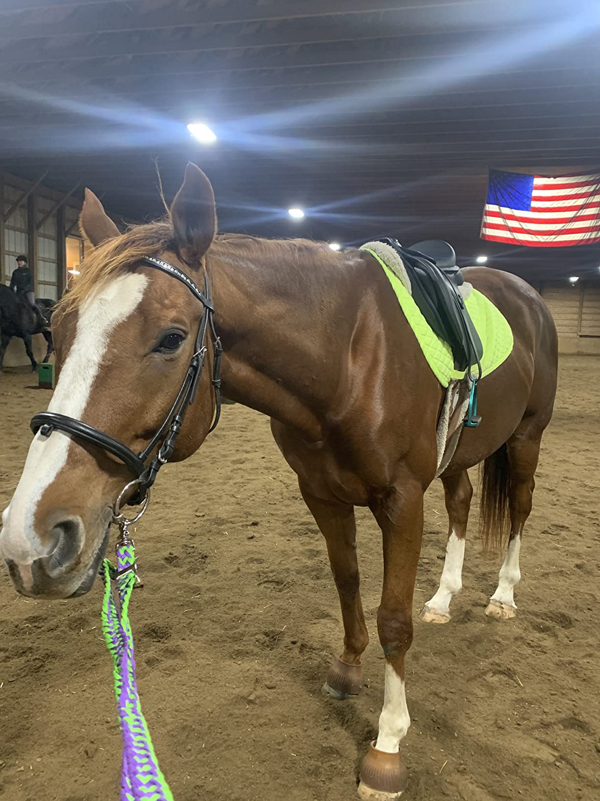 Wintec 500 HART All Purpose Saddle customer photo 1