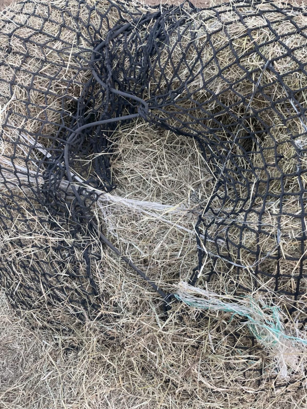 Aoneky Bale Hay Net -Average Feed Haynet for Horses - 6 x 6 ft / 5 x 5 ft customer photo 1