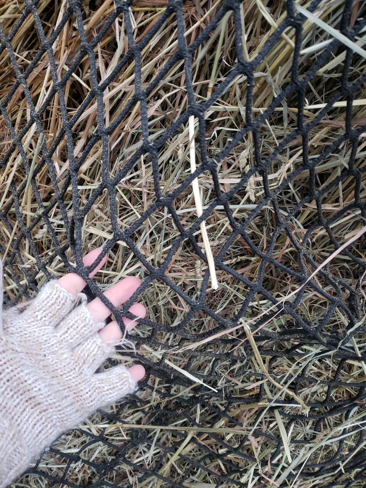 Aoneky Bale Hay Net -Average Feed Haynet for Horses - 6 x 6 ft / 5 x 5 ft customer photo 2