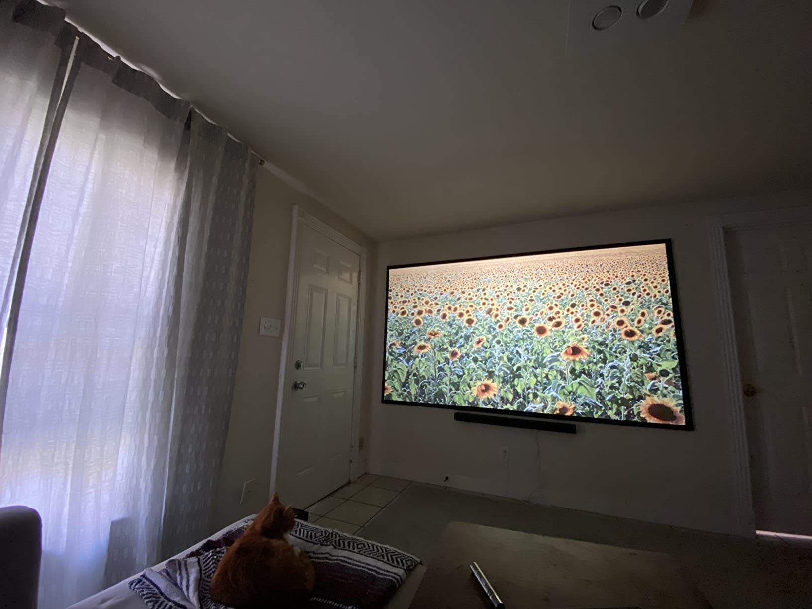 Projector Screen Material Ambient Light Rejecting Fabric 69x118 inch for Max 130 inch 16:9 Projection Screen DIY, Black Backing 4K Ultra HD Front Projection EVA Polymer Material (Grey) customer photo 1