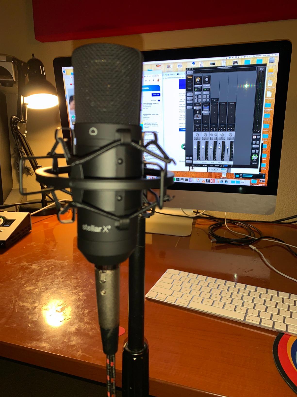 TZ Stellar X2 Large Diaphragm Cardioid Condenser XLR Microphone customer photo 1