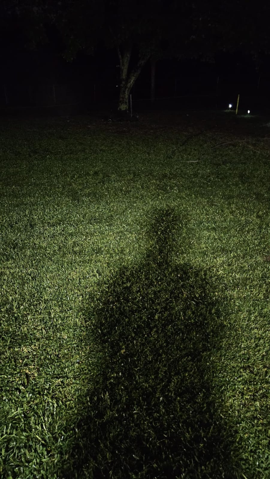 Soft Soil by GS Plant Foods- Liquid Aerator and Lawn Treatment(1 Quart) - Liquid Aerator for Any Grass Type, All Season - Great for Compact Soils, Standing Water, Poor Drainage customer photo 2