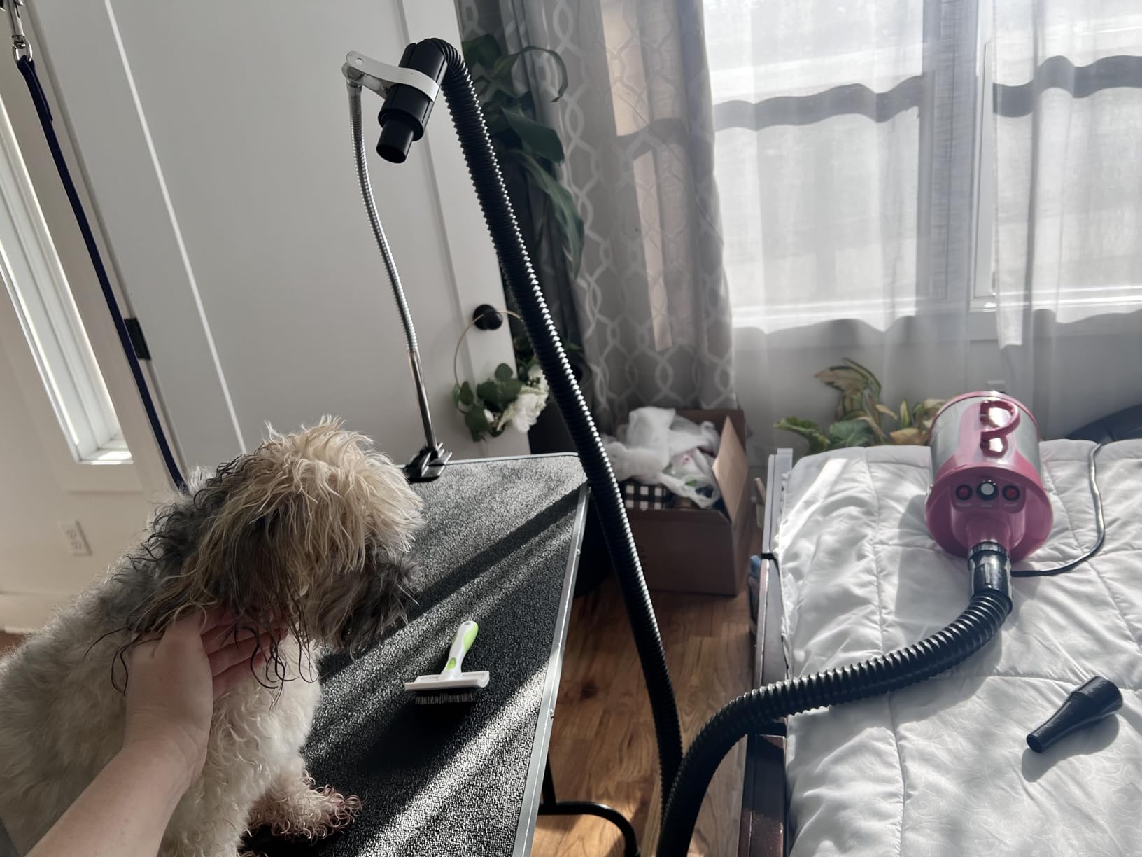 SHELANDY Dog Pet Grooming Table Hair Dryer Stand Hose Tube Holder Hands-Free Stainless Steel Groomers Adjustable Third Arm with Clamp customer photo 2