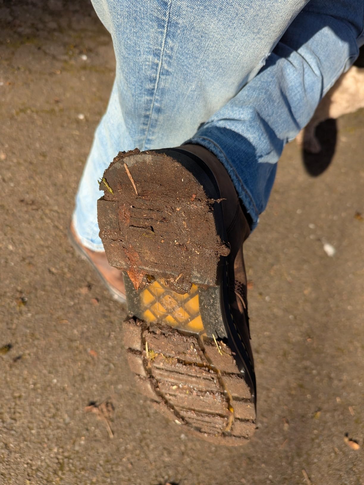 Dr. Martens Unisex-Adult Combs Leather customer photo 1