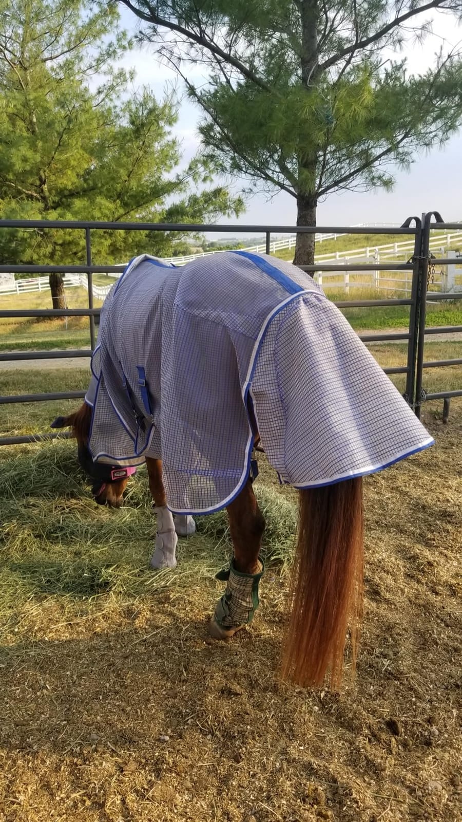 WeatherBeeta ComFiTec Ripshield Plus with Belly Wrap Detach A Neck customer photo 1