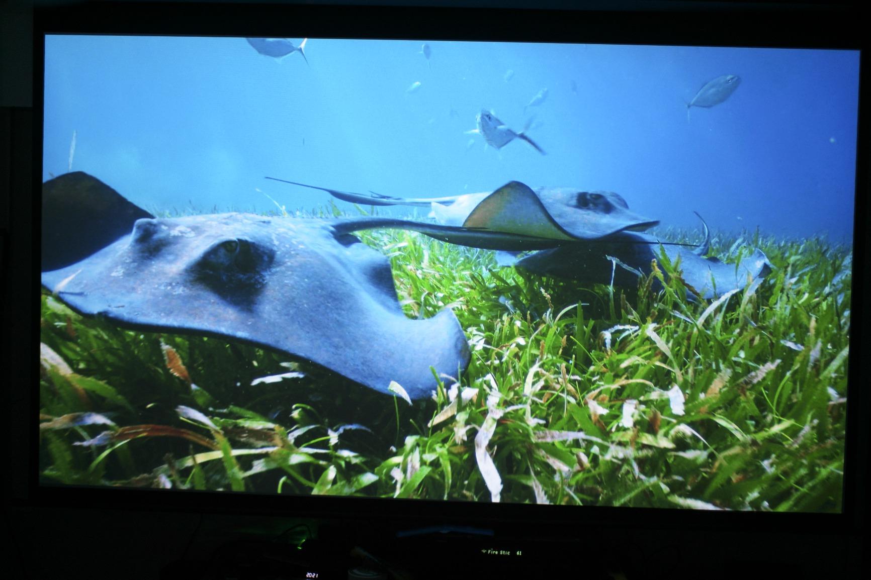 Optoma UHD30 True 4K UHD Gaming Projector | 16ms Response Time with Enhanced Gaming Mode | Lowest Input Lag on 4K Projector | 240Hz Refresh Rate | HDR10 & HLG customer photo 1