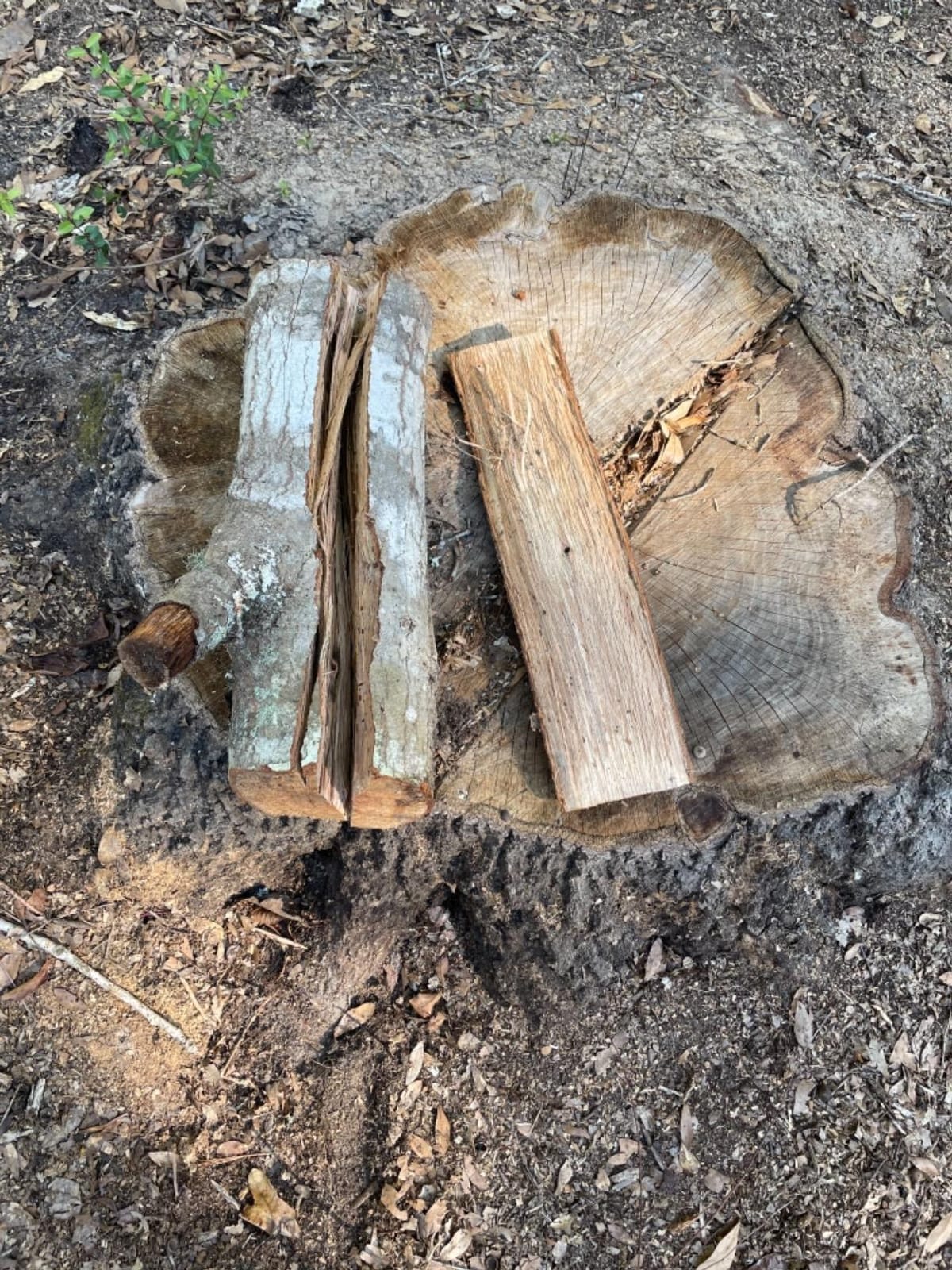 LEXIVON V28s Splitting Axe, 28-Inch Lightweight Fiber-Glass Composite Handle & Ergonomic TPR Grip | Protective Carrying Sheath Included (LX-V28s) customer photo 1