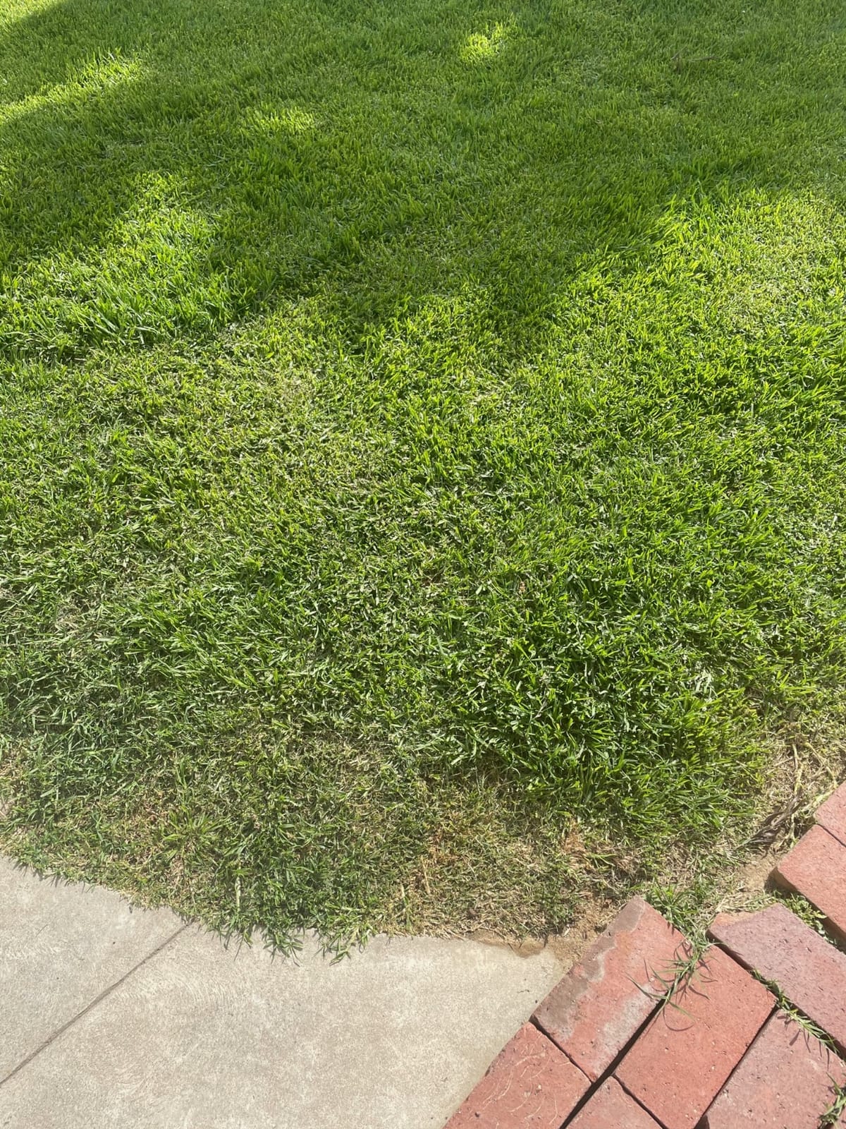 Covington Liquid Lawn Aerator (32oz) – Soil Conditioner & Softener for Lawns & Gardens – Loosens Clay & Compacted Soil for Better Water & Nutrient Absorption – Liquid Aeration Concentrate, Made in USA customer photo 2