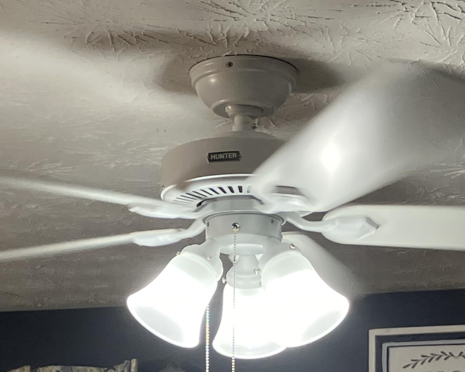 Hunter Swanson, Indoor, Ceiling Fan, with LED Lights, 52 inch, Fresh White customer photo 1