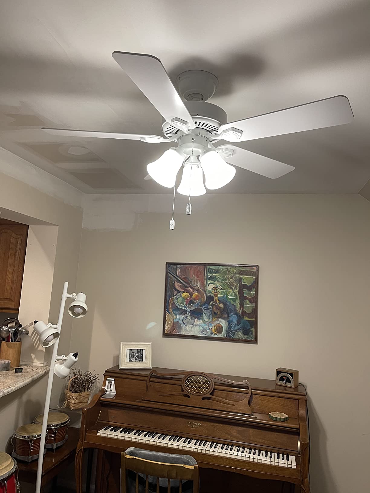 Hunter Swanson, Indoor, Ceiling Fan, with LED Lights, 52 inch, Fresh White customer photo 2