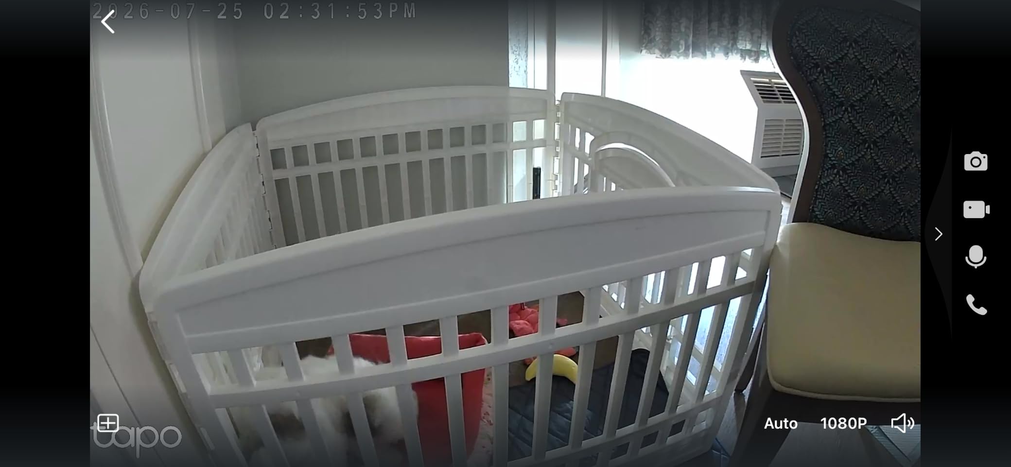 TP-Link Tapo 1080P Indoor Security Camera for Baby Monitor, Dog Camera w/Motion Detection, 2-Way Audio Siren, Night Vision, Cloud & SD Card Storage, Works w/Alexa & Google Home (Tapo C100) customer photo 1