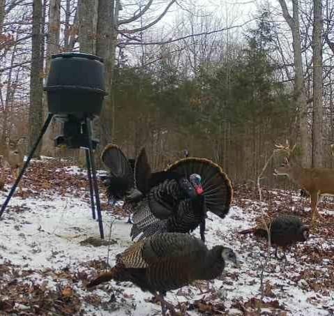 American Hunter 30-Gallon Nesting Hopper Gravity Deer Feeder customer photo 2