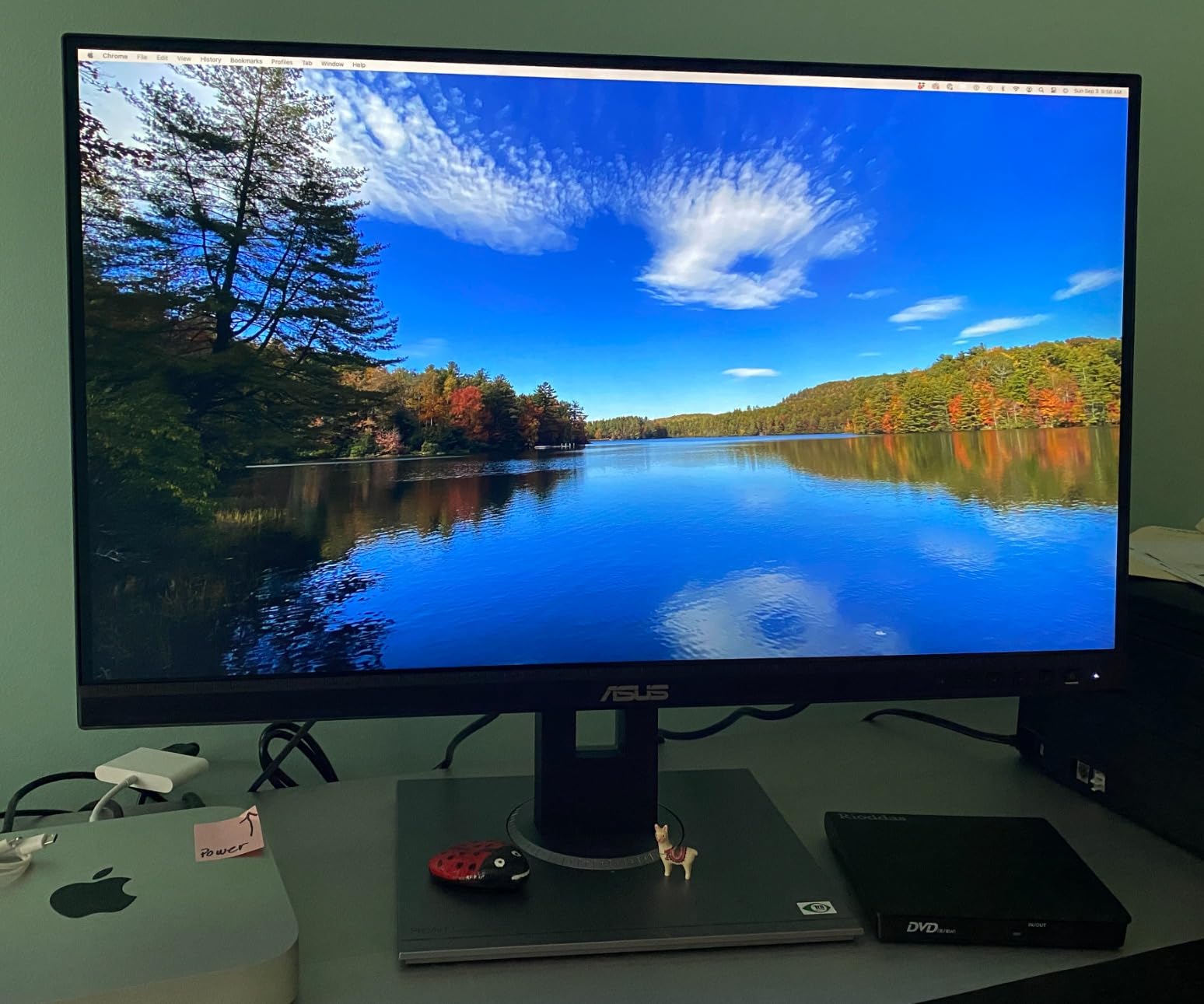 ASUS ProArt PA278QV 27 Inch 1440p QHD Professional Monitor | Calman Verified, IPS, Height Adjustable, 100% sRGB, Eye Care, Anti-Glare, Ergonomic Stand, Rec.709 customer photo 1
