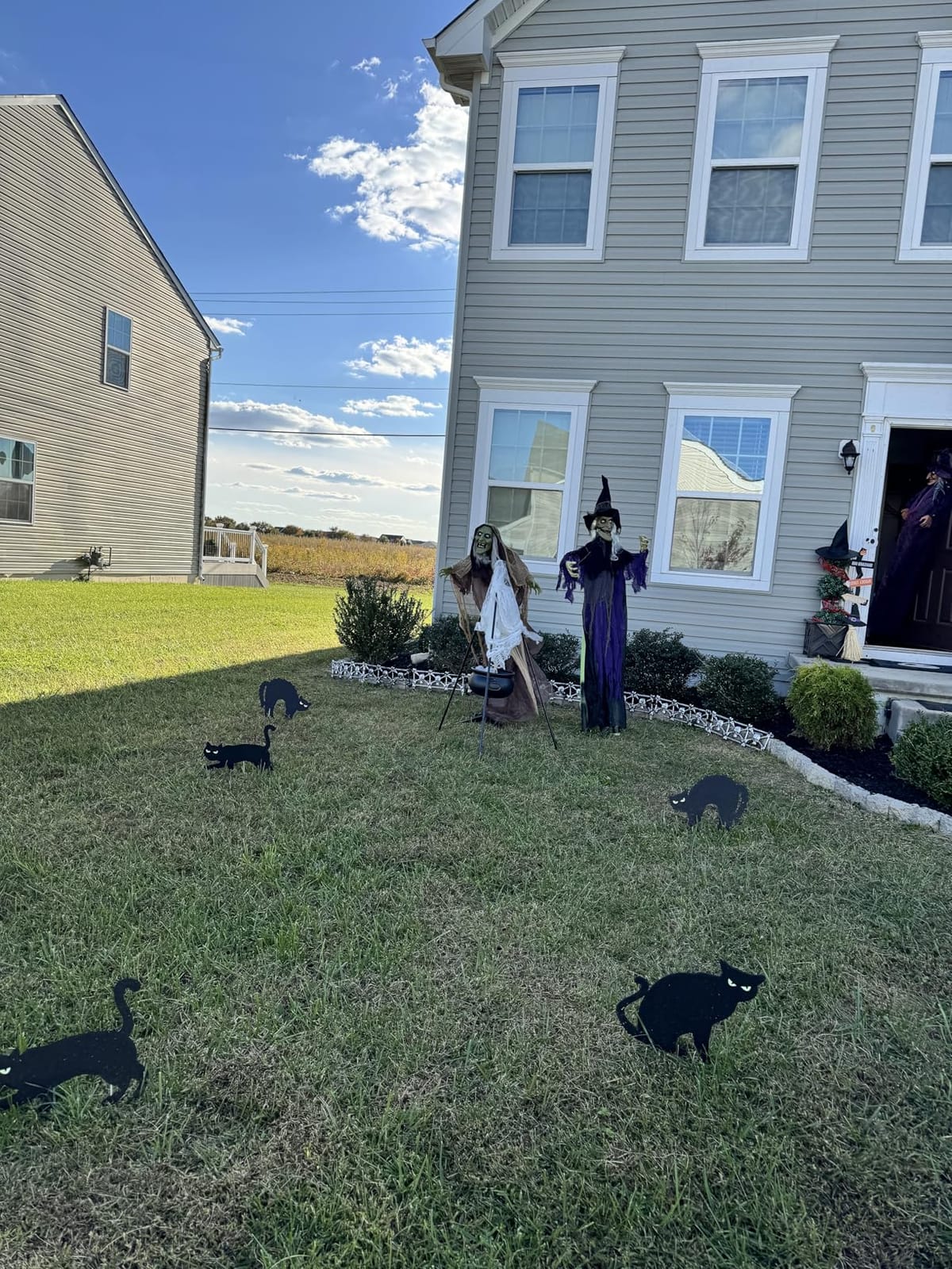 Halloween Decorations Outdoor, 6ct Black Cat Decor Yard Signs with Stakes, Scary Silhouette with Glow in Dark Eyes, Corrugated Plastic, Waterproof Lawn Decorations for Kids Family Home Party customer photo 1