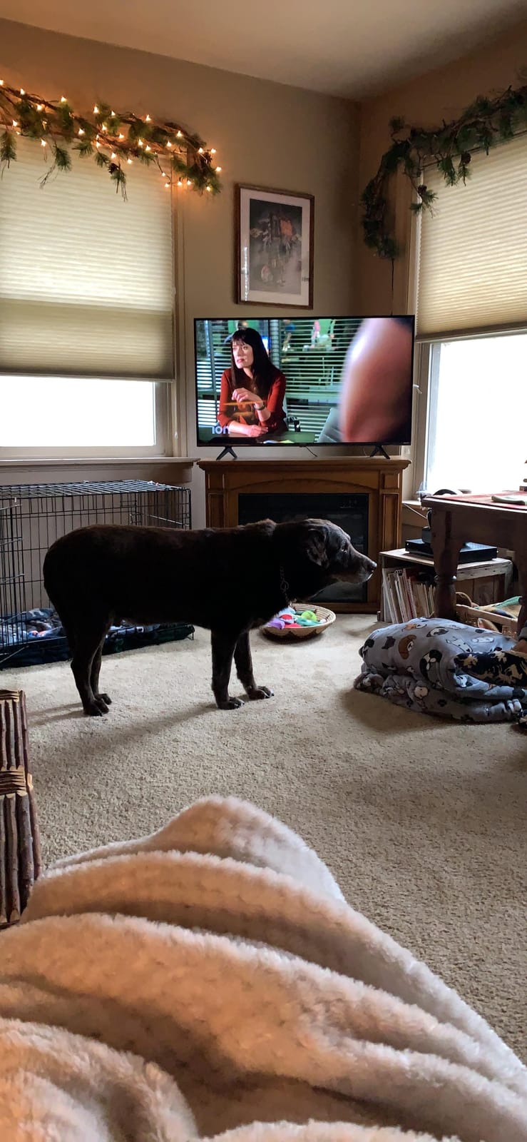 Hisense 50-Inch Class R6090G Roku 4K UHD Smart TV with Alexa Compatibility (50R6090G, 2020 Model) customer photo 1