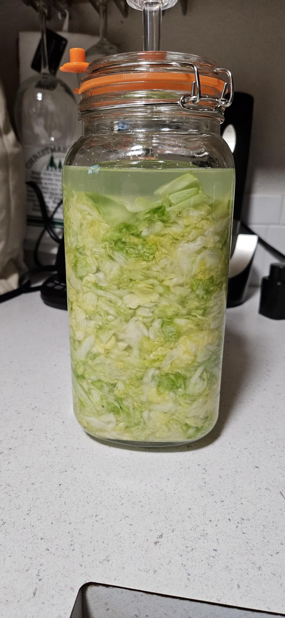 JILLMO 1.5L Wide Mouth Glass Fermentation Jar with Airlock & Weight, 2 Pack customer photo 1
