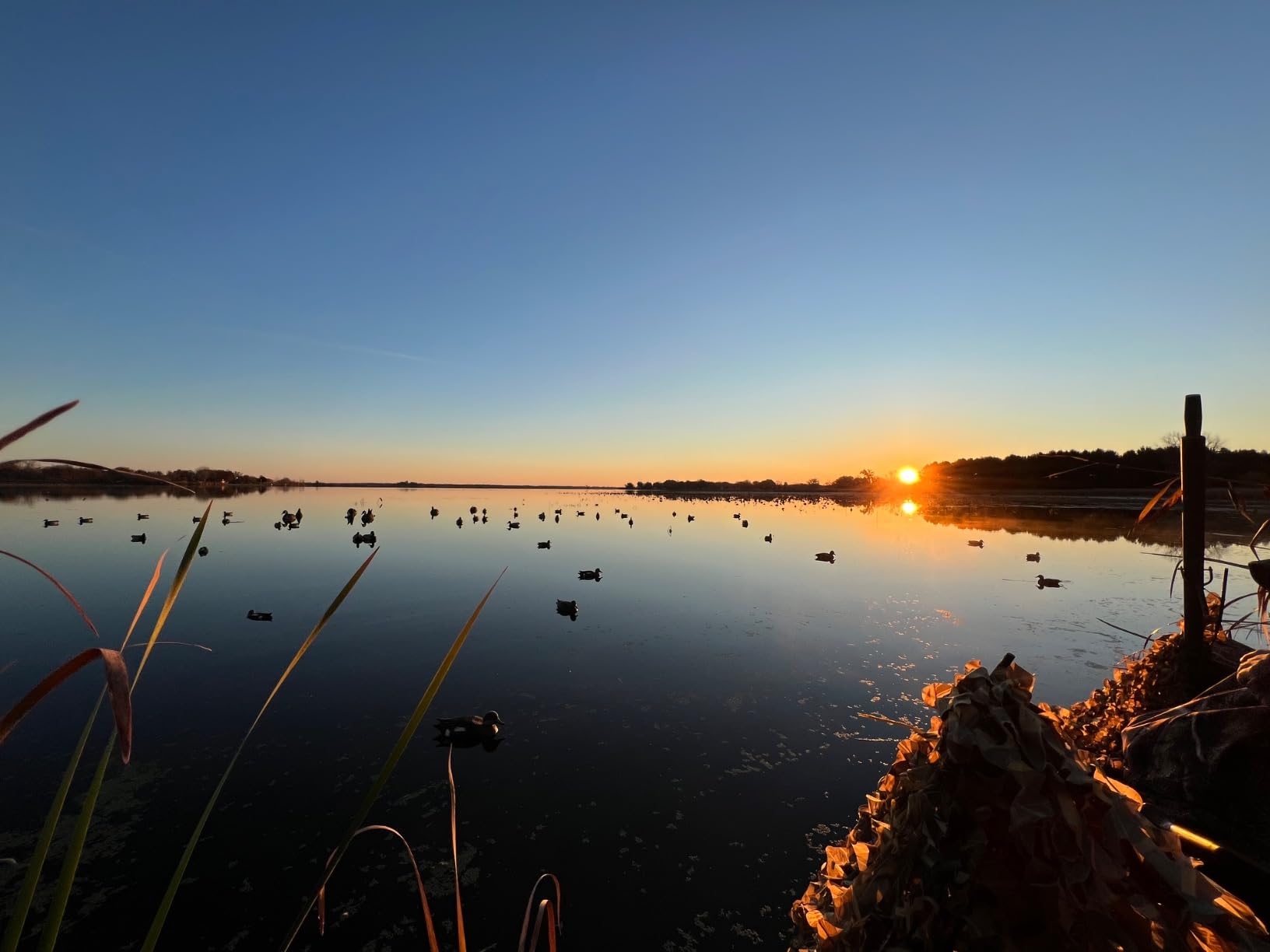 Final Approach Last Pass Mallard Floaters, Decoy 12 Pack customer photo 1