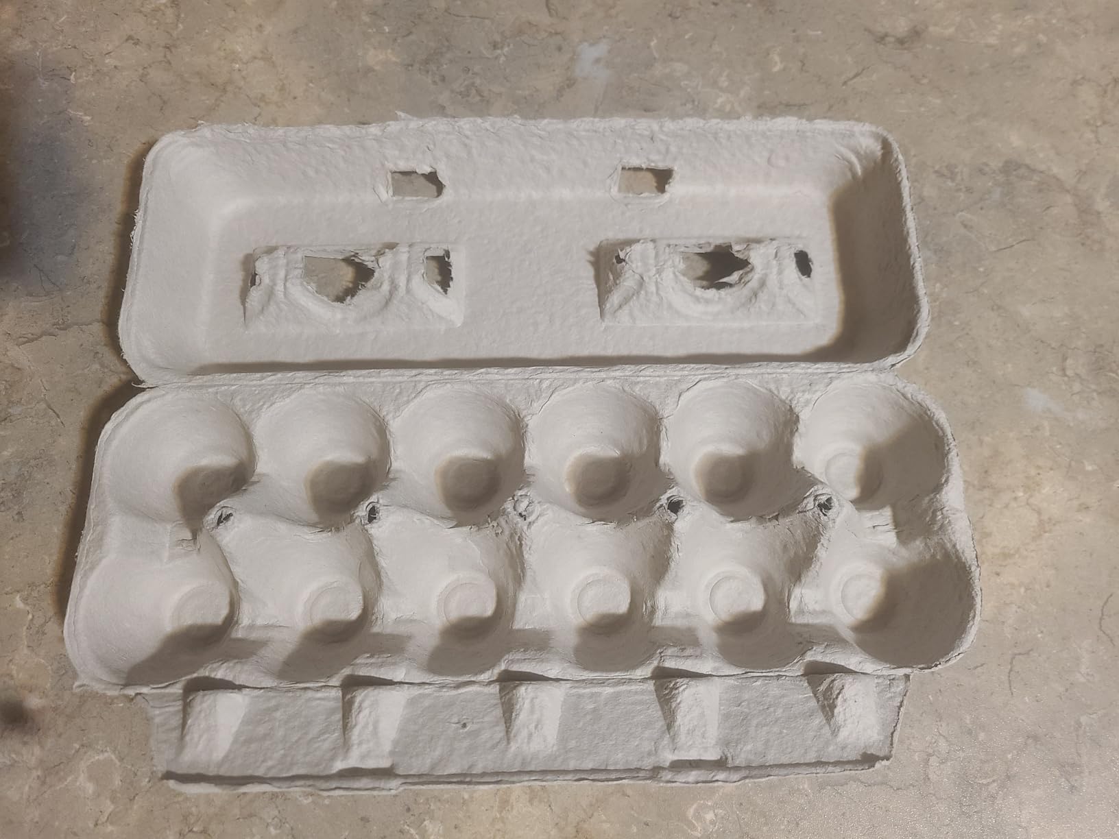 MT Products Blank Natural Pulp Egg Cartons Holds Up to Twelve Eggs - 1 Dozen - Strong Sturdy Egg Crate Cardboard Material Perfect For Storing Extra Eggs (25 Pieces) - Made in the USA customer photo 2