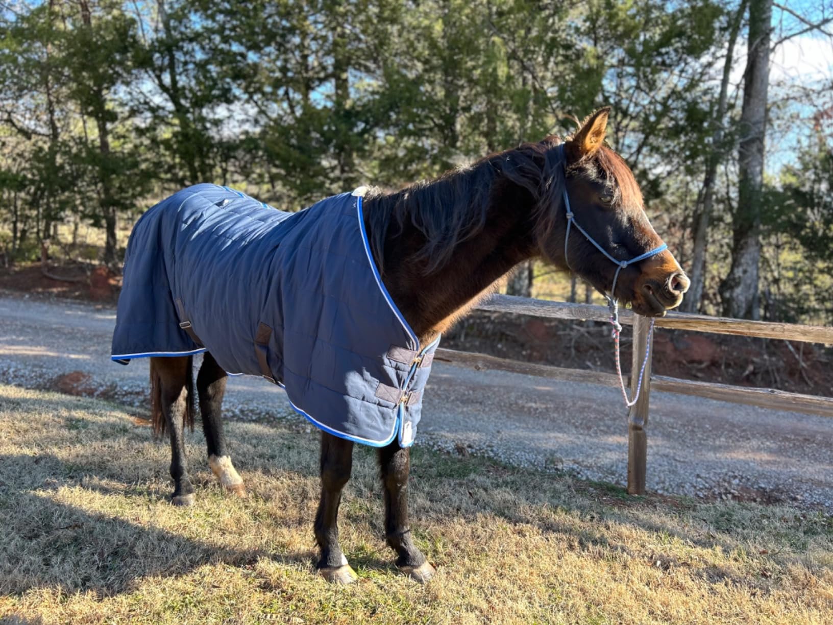 Horze Glasgow Anti-Slip Stable Horse Blanket (100g Fill) - Dark Blue - 78 in customer photo 1