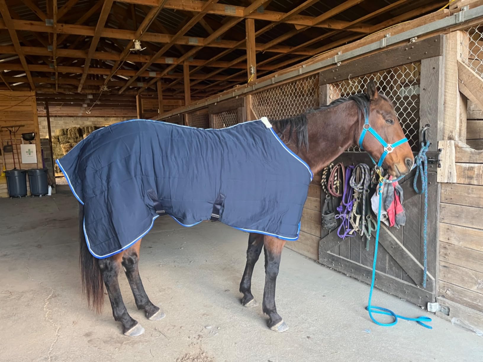 Horze Glasgow Anti-Slip Stable Horse Blanket (100g Fill) - Dark Blue - 78 in customer photo 2