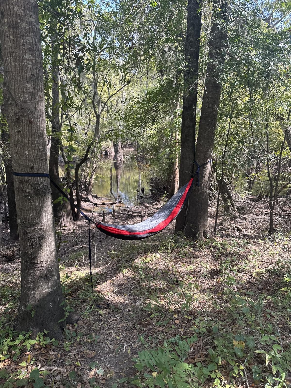 Camping Hammock with Net,Portable Lightweight Double Hammocks with Tree Straps and Solid D-Shape Hanging Hooks,Parachute Nylon Hammock for Backpacking Beach Backyard Patio Hiking customer photo 2