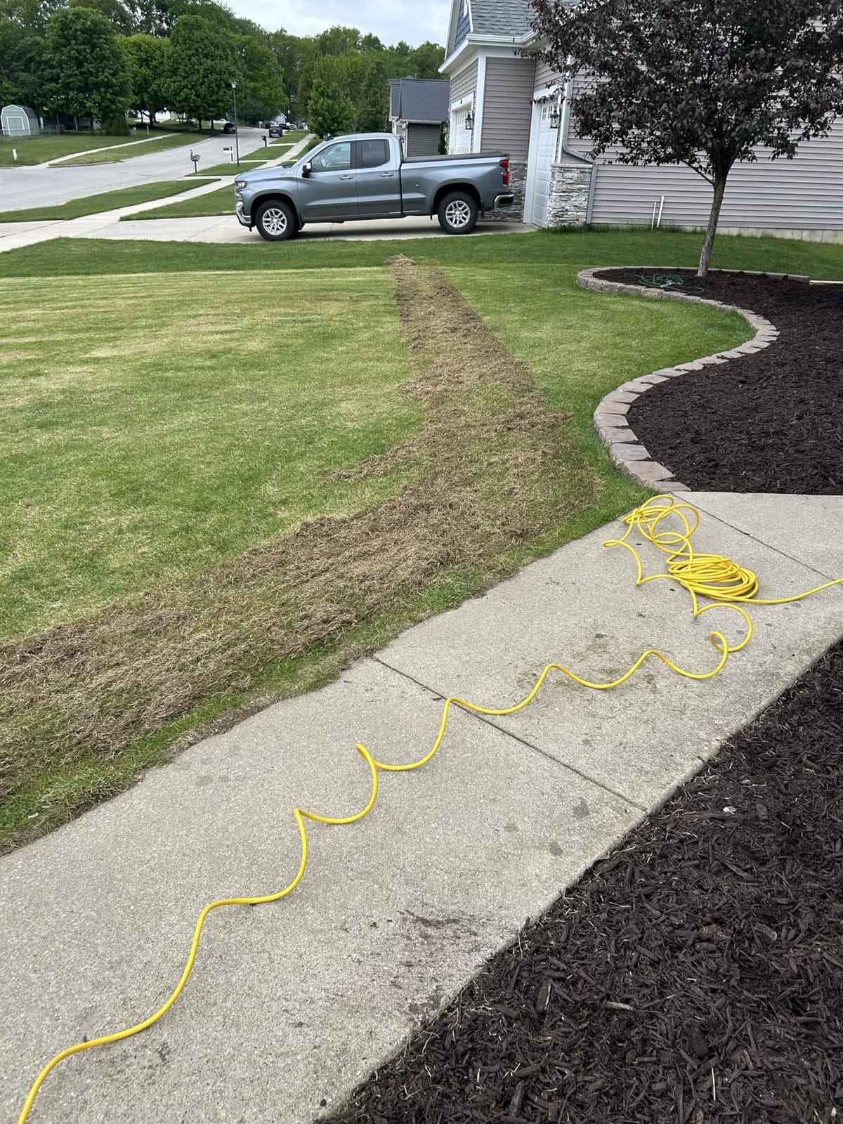 Sun Joe 15-Inch Lawn Dethatcher with Scarifier Blade Reel, AJ805E | and Collection Bag - 13-Amp Corded Yard Power Rake Tool Machine for Grass Thatch Removal, Electric Powered customer photo 2