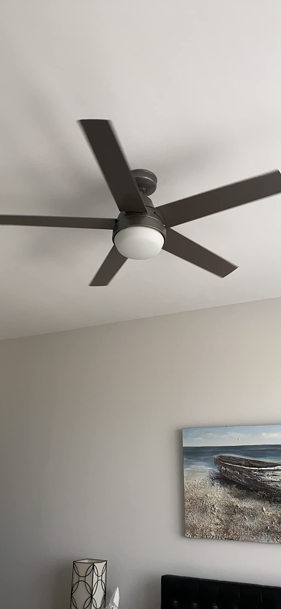 Hunter Aerodyne, Indoor, Ceiling Fan, Smart, Modern, 52 inch, Matte Silver customer photo 2