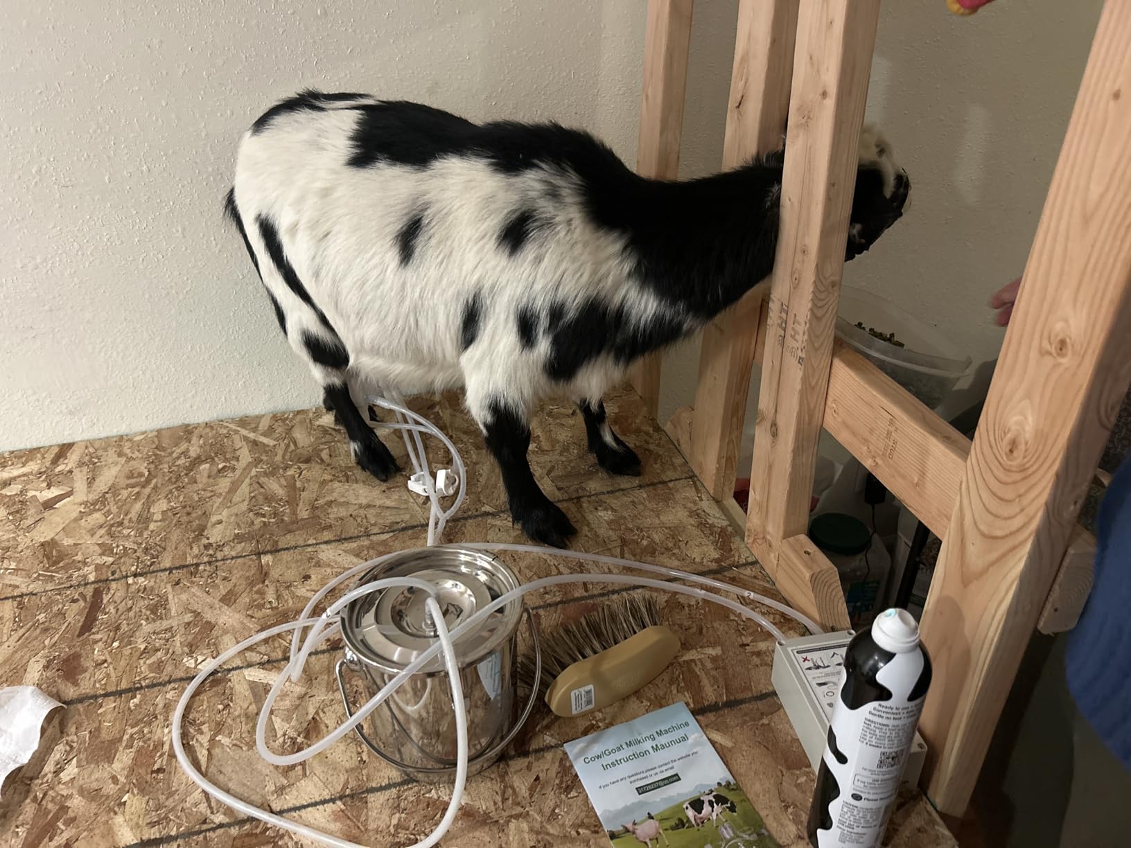 3L Goat Pulsation Vacuum Electric Milking Machine with 2 Teat Cups customer photo 2