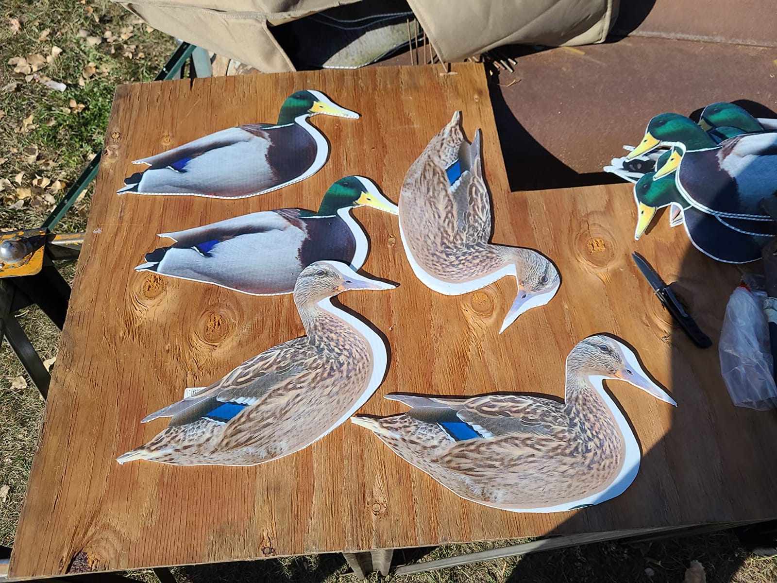 TCDesignerProducts 2D Wildlife Silhouette Decoys, Photo-Realistic Hunting Decoys for Snow Geese, Coyotes, Whitetail Bucks & Does, Mallards, Turkeys, Canadian Geese - Motion & Easy Setup customer photo 1