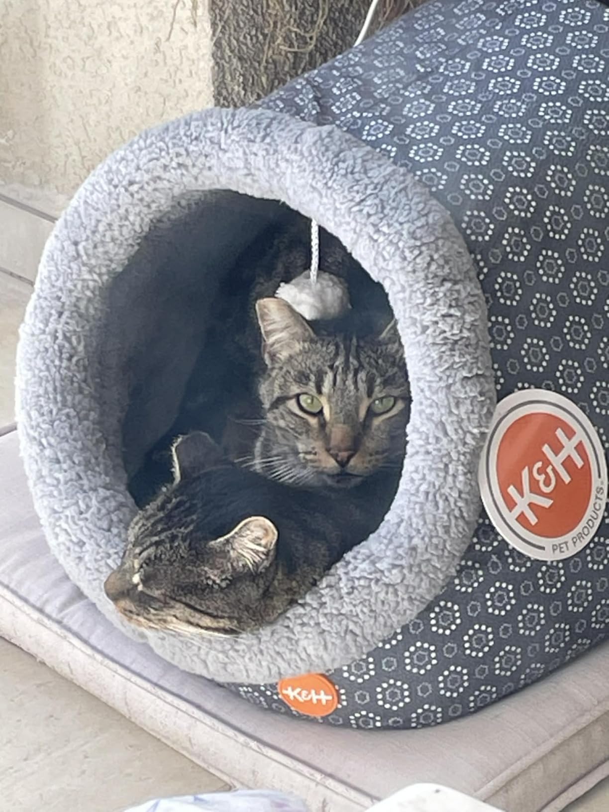 K&H Heated Cat Bed, Thermo-Pet Cave Indoor, Safety Listed, 4W, Navy/Geo | Removable Waterproof Cat Heating Pad, Heated Pet Bed for Dogs & Cats, Covered Cave Pet Tent, Collapsible, Machine Washable customer photo 1