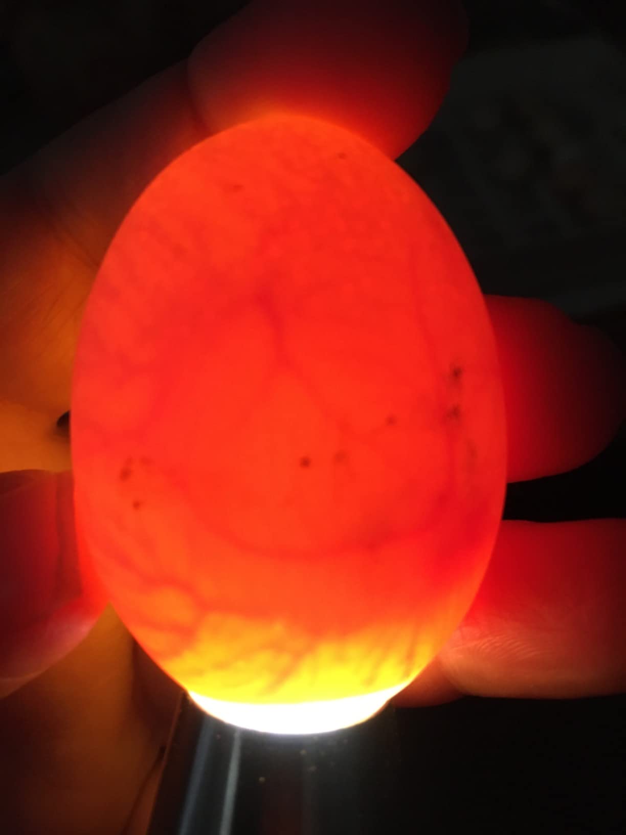 Egg Candler for Chicken Eggs, Rechargeable USB Egg Candling Light customer photo 2