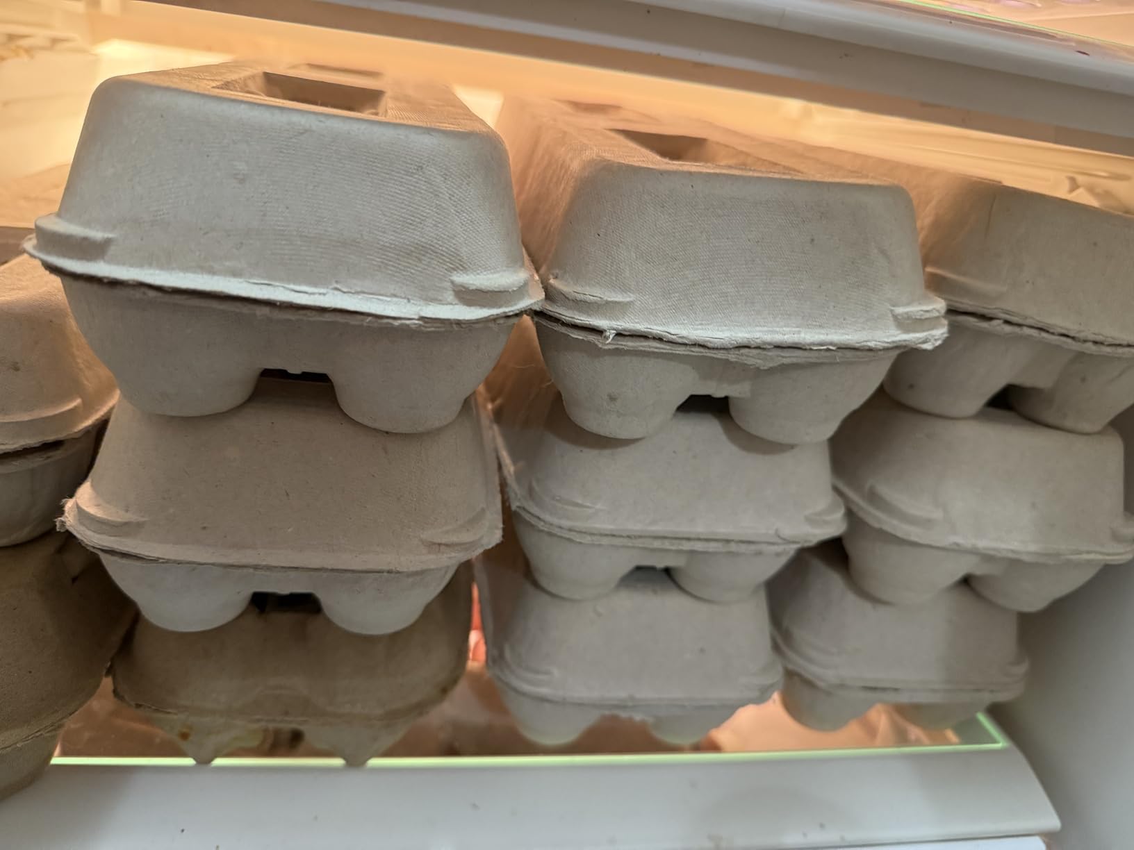 Stromberg's Jumbo Blank Egg Cartons, Bulk Pack for Jumbo Eggs, 200 Pack customer photo 2