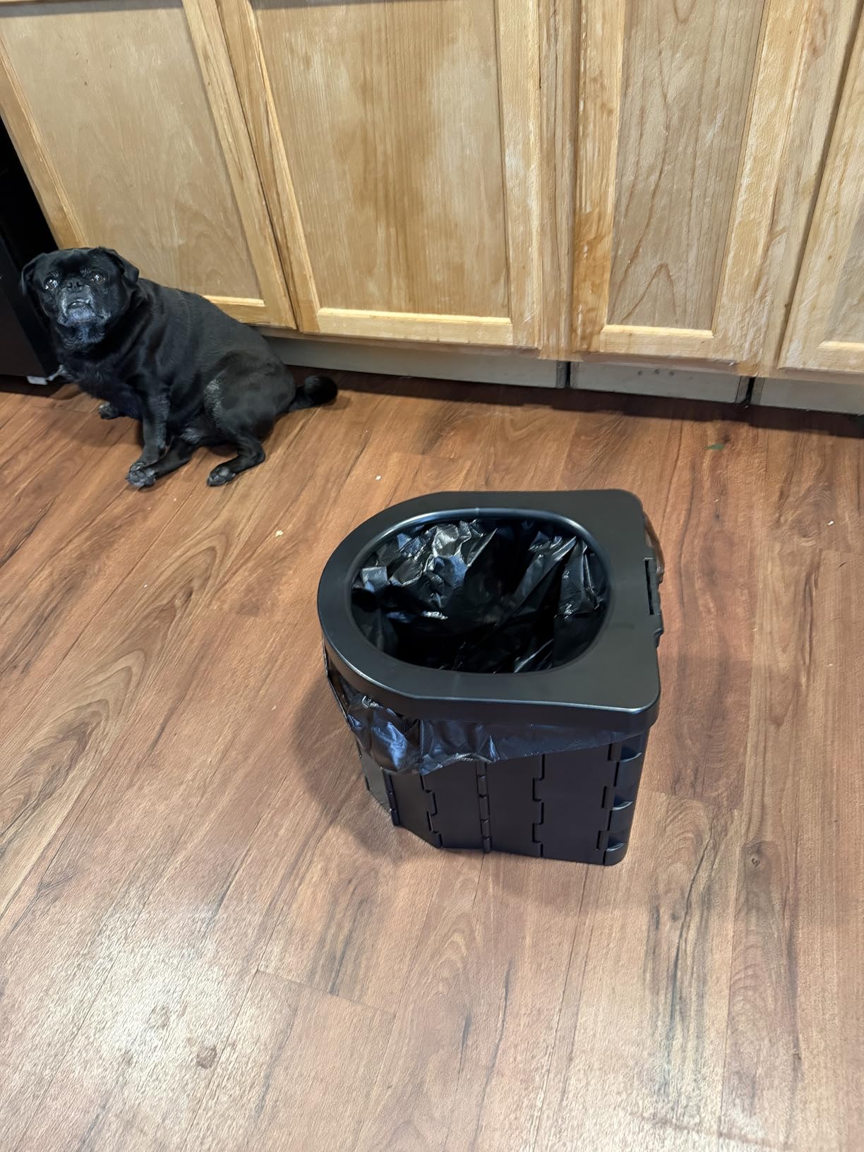 Portable Toilet for Camping, Potty Adults, Porta Travel Commode Bucket Car, Travel, Outdoor, Hiking, Backpack, Trips, Tent, Boat, Beach, Traffic Jam, Home customer photo 1