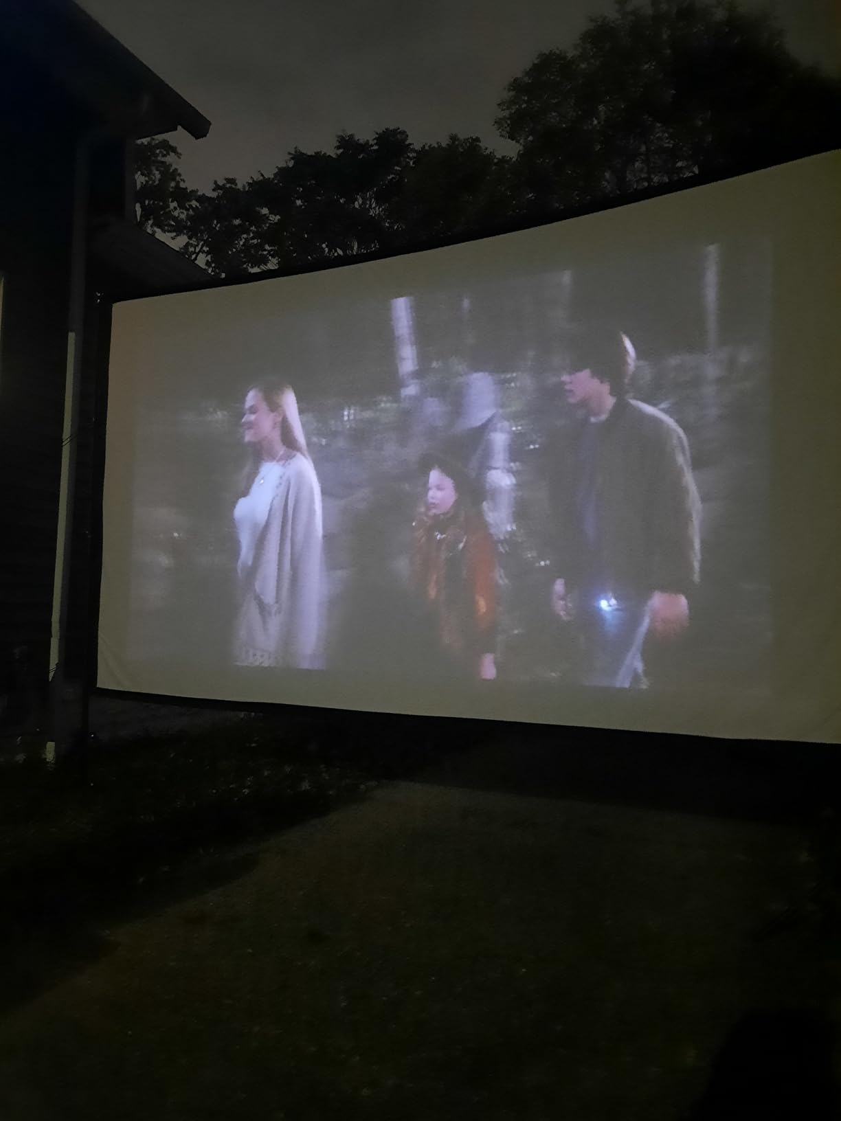 TOWOND Projector Screen and Stand, 150 inch Indoor Outdoor Projection Screen, Portable 16:9 4K HD Rear Front Movie Screen with Carry Bag Wrinkle-Free Design for Home Theater Backyard Cinema customer photo 1