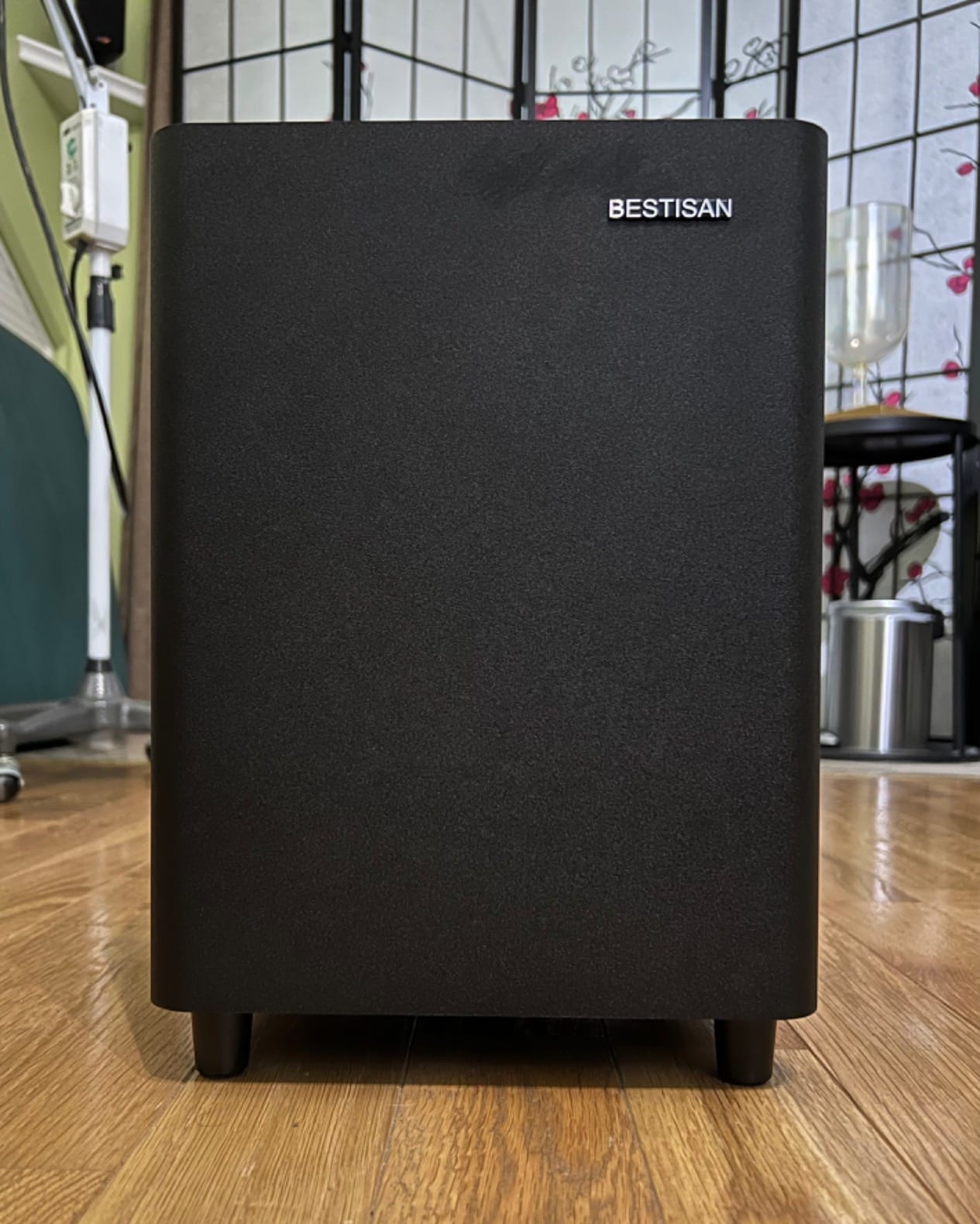BESTISAN Subwoofer, 6.5