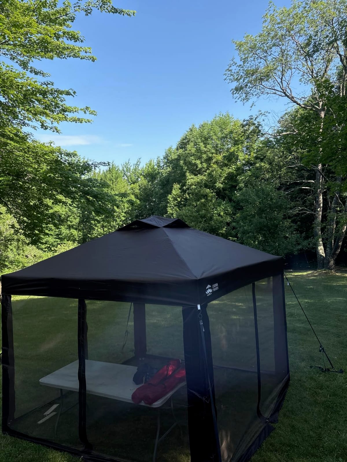 CROWN SHADES Gazebo 10x10 Pop Up Canopy with Mosquito Netting, Beige | Screen Tent with 4 Ropes, 8 Stakes, 4 Sandbags and Wheeled Storage Bag, Canopy for Patio & Backyard Parties, Camping&Events customer photo 2