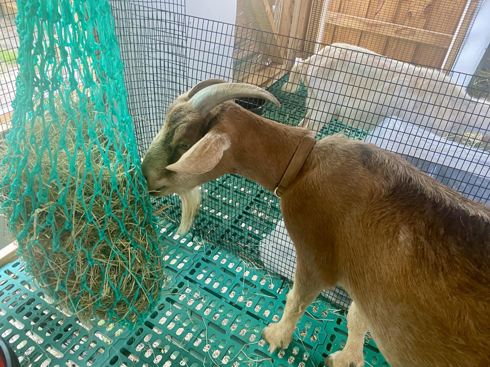 Harrison Howard Slow Feed Hay Net Horse-Black customer photo 1