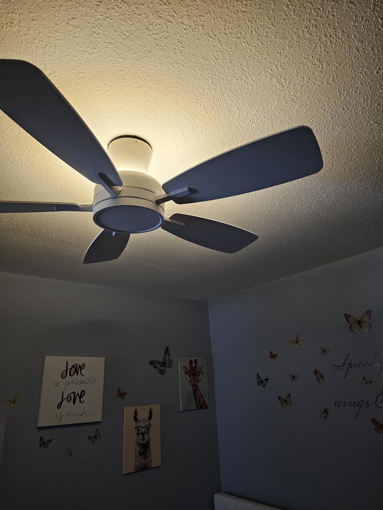 Roomratv 52 Inch Smart Ceiling Fan Compatible with App/Alexa/Google home customer photo 1